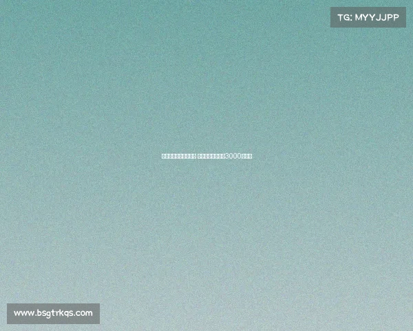 纽卡计划再次报价维萨 转会费预计将突破3000万英镑